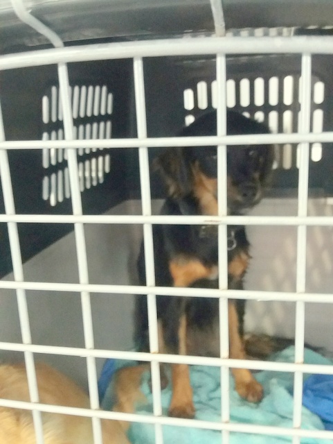 1 20161106 123541 resized