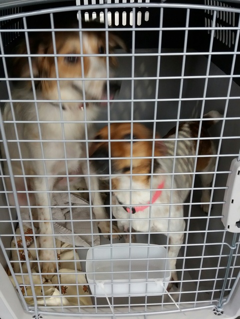 1 20160807 134952 resized