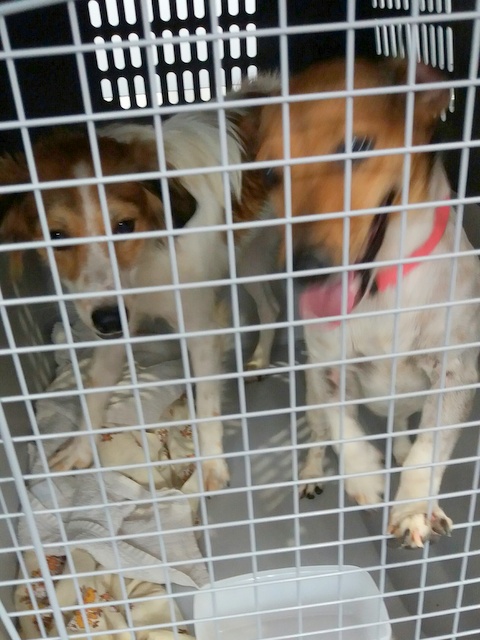 1 20160807 135011 resized