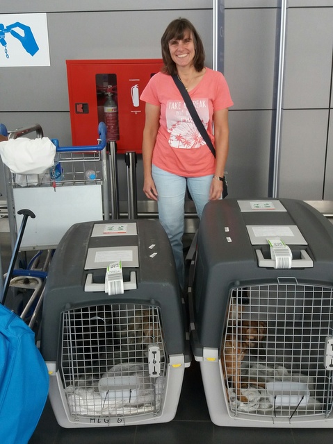 1 20161009 141355 resized