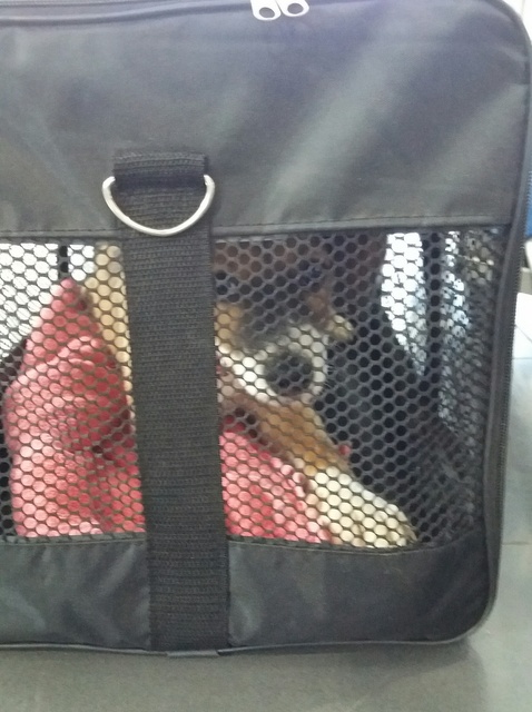 1 20160911 141304 resized