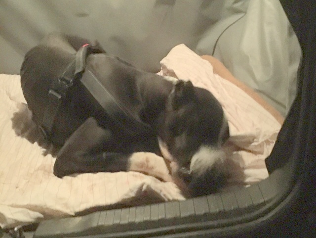 1 1bac7dc3988cdc2dd414e626205a1eeb