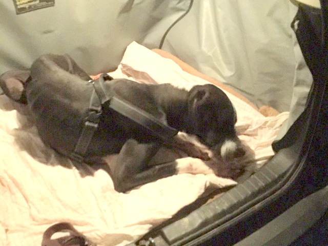 1 1f747ae30f43e65dced1b78323cf0f2d