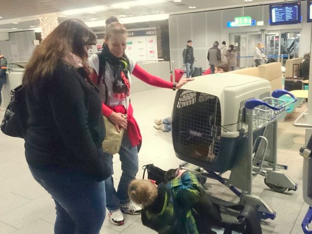 1 76a0cef990e70852244f73f531ddab09