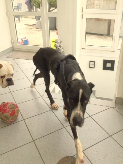 1 9f417671bf227a3ee61a47aeb8ddcca6