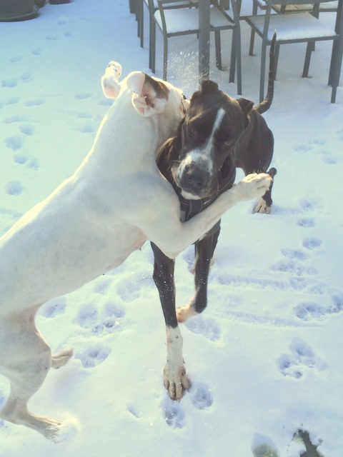 1 0f97a710d382b94340f109ec1b35d8fd