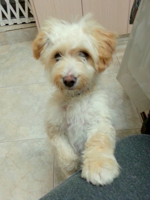 1 20160216 182926 resized