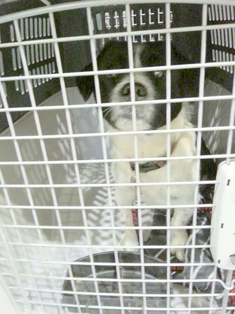 1 20160217 031308 resized 1