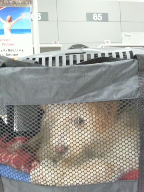 1 20160217 031339 resized 1