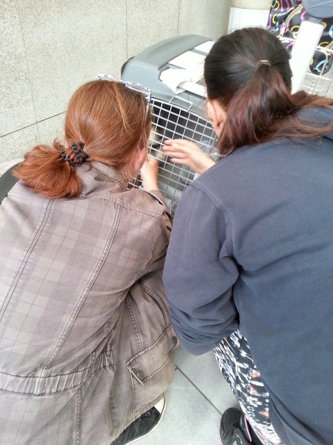 1 20160621 142737 resized