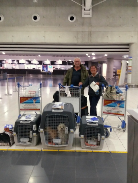 1 20161121 025925 resized