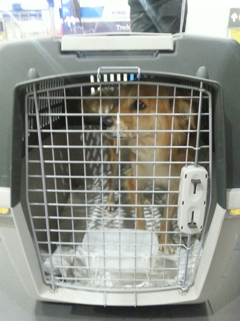 1 20160325 032922 resized