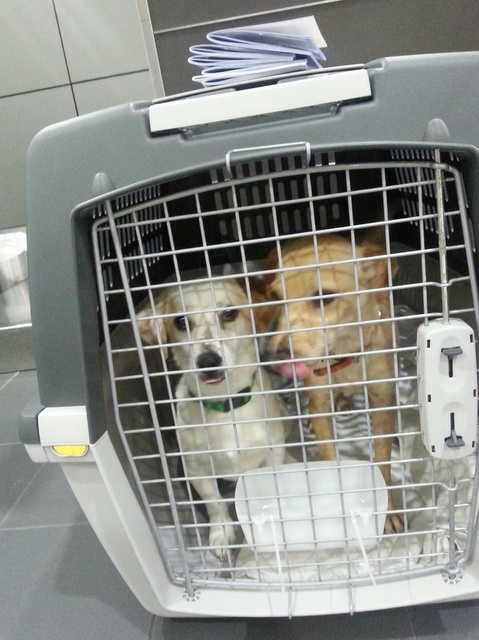 1 20160325 032945 resized