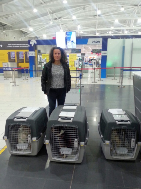 1 20160325 033404 resized