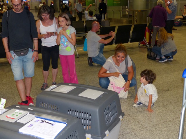 1 cid part3 17B7978B 48D4F54Dhundeliebe grenzenlos