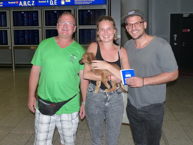 1 cid part6 F7E496C9 A0E2EDD8gmail