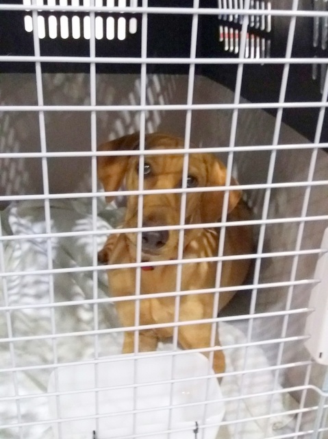 1 20161010 031154 resized