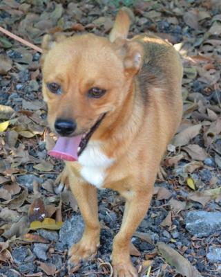 thumb DSC 1586 1600x1067