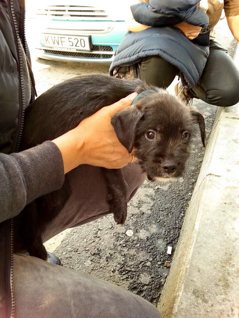 20160106 130249 resized