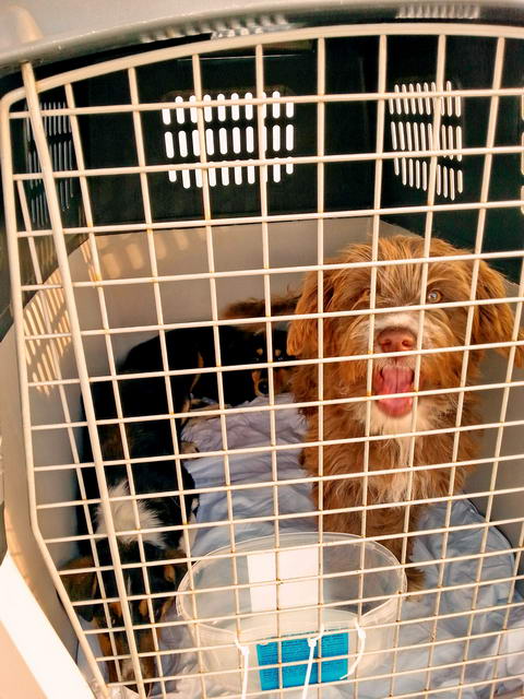 20160106 130308 resized