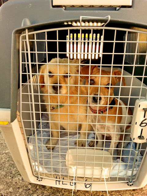 20160106 130325 resized