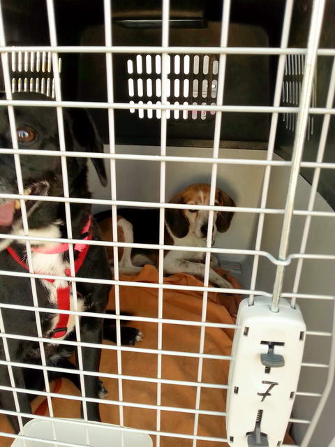 20160106 130347 resized