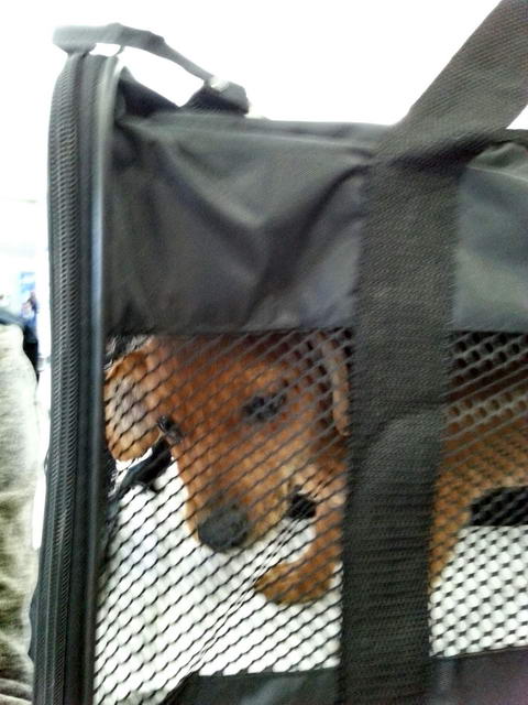 20160109 151223 resized