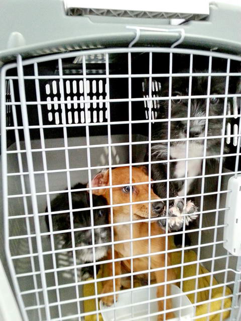 20160109 151316 resized