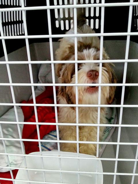 20160109 151622 resized