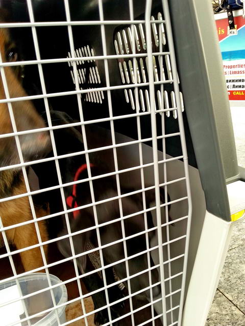 20160124 145659 resized