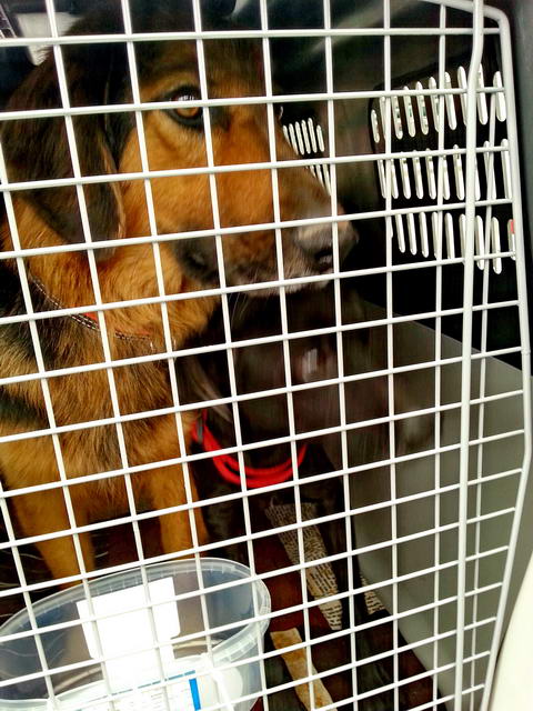 20160124 145702 resized 1