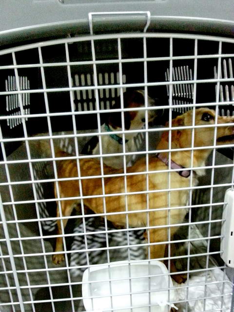 20160202 031632 resized