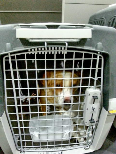 20160202 031637 resized