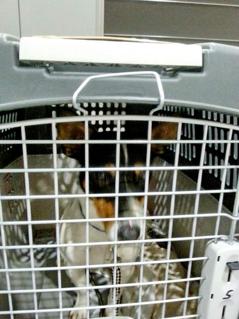 20160202 031648 resized