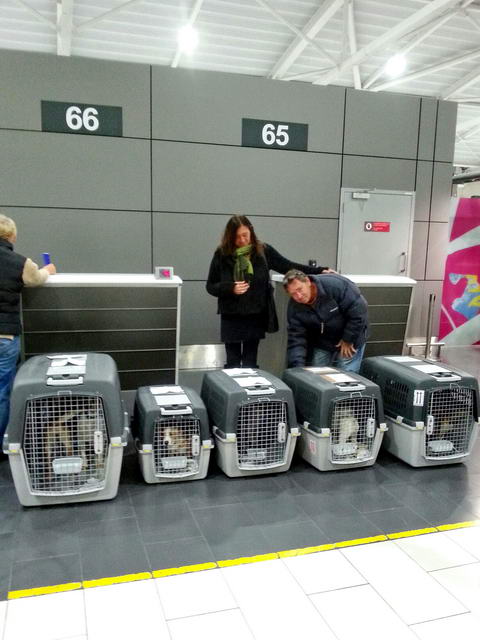 20160202 031959 resized