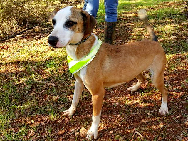 1 IMG 20160106 WA0001