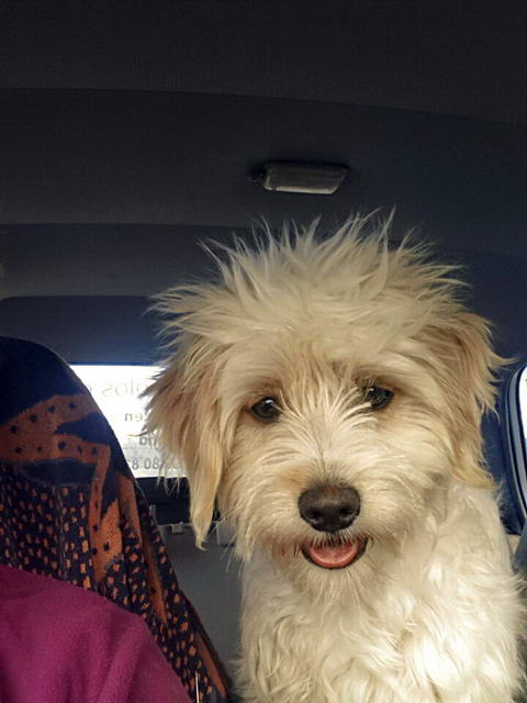 20160207 141356 resized