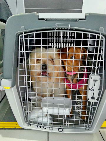 20160214 150936 resized