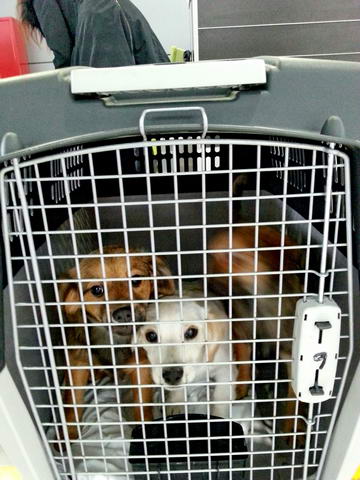 20160214 150945 resized