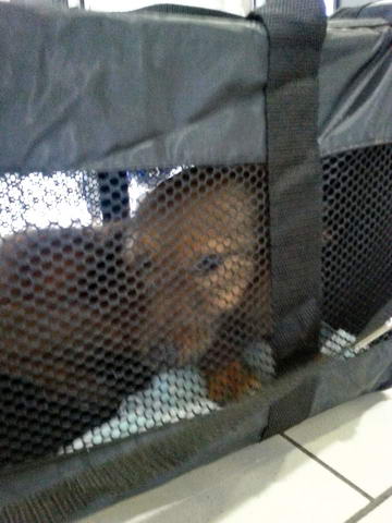 20160214 153303 resized