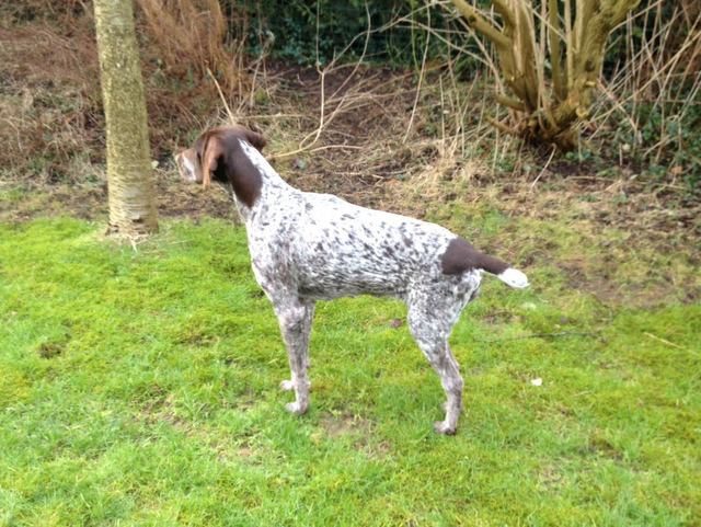 1 55bfd20b6b621e613890bf8a2b6e25ad