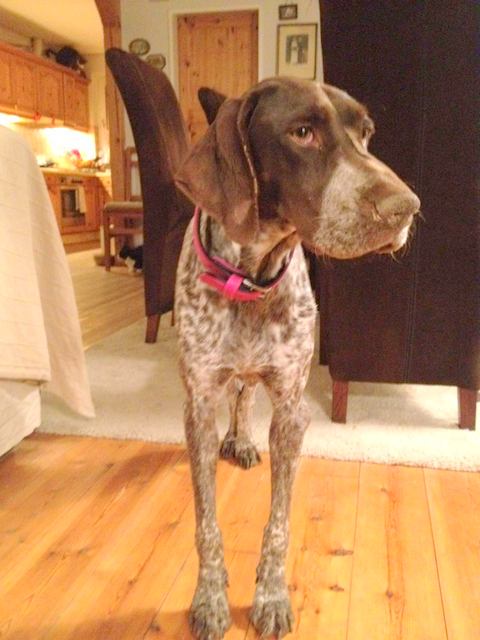 1 a0011ef860eea78d87da093a7ce11a29