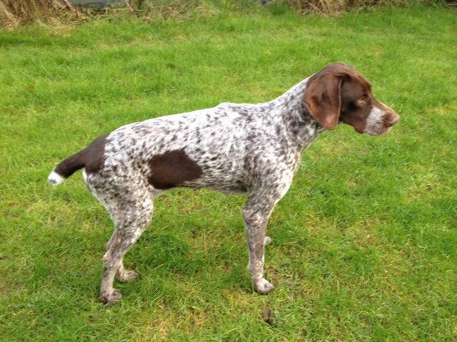 1 e5ea3d40b92656eb03c14c4678e74d21