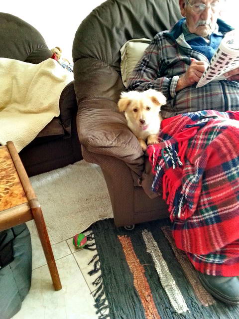 20160221 121955 resized