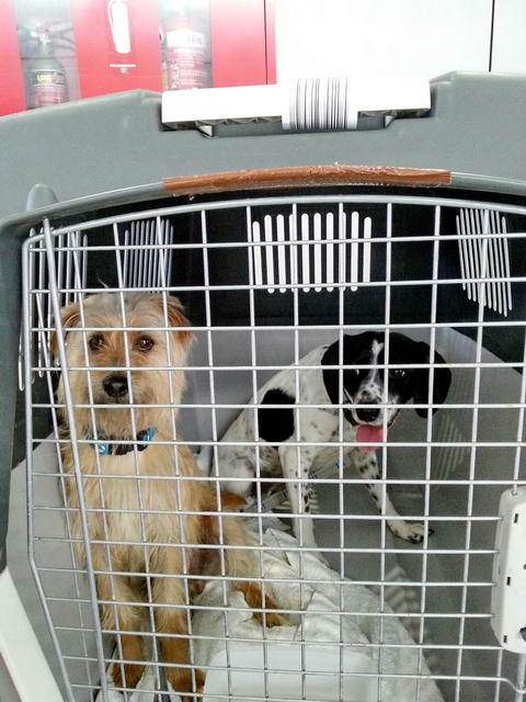 20160306 152212 resized