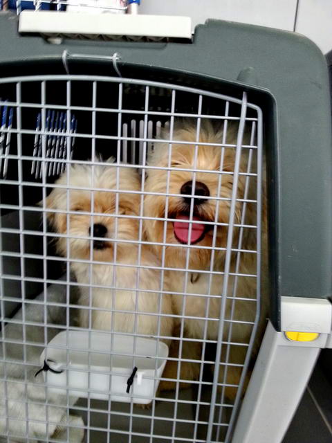 20160309 145219 resized