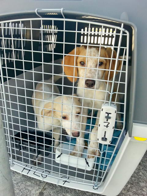 20160406 130023 resized