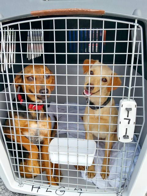 20160424 134715 resized