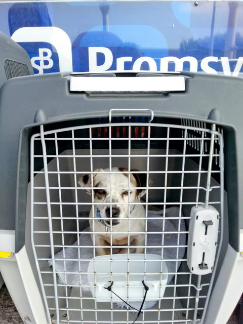 20160424 134725 resized