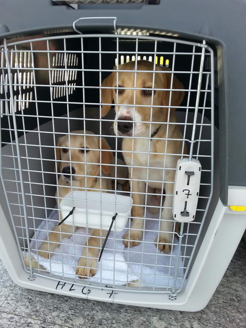 20160501 134242 resized 1